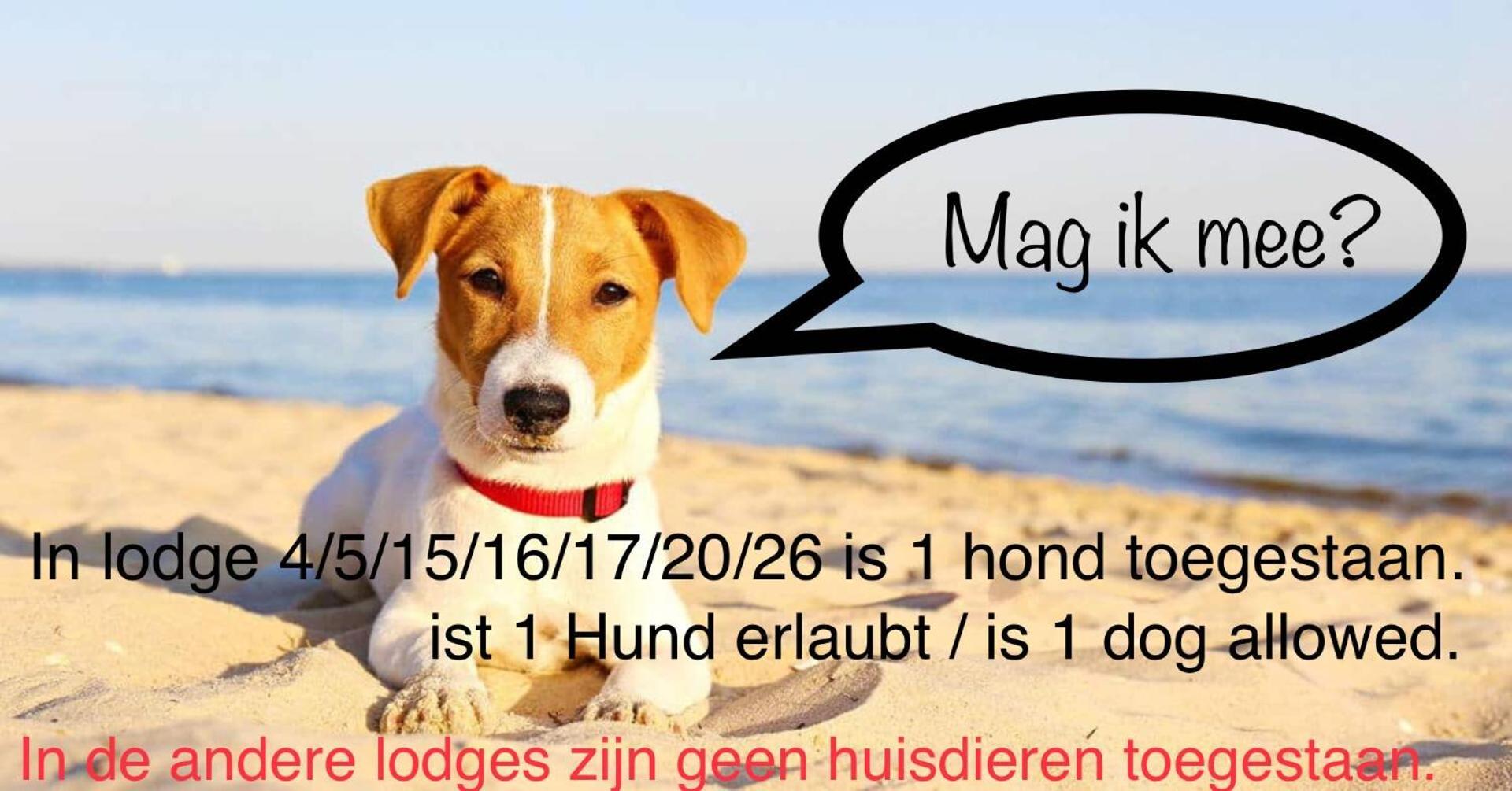 Plein 40 - Lodges Zoutelande Zewnętrze zdjęcie